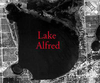  Lake Alfred